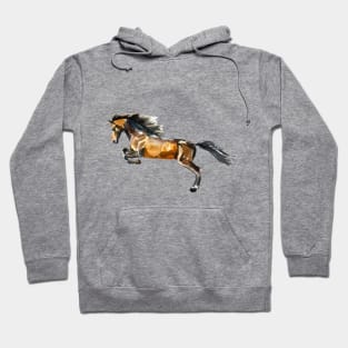 horse Hoodie